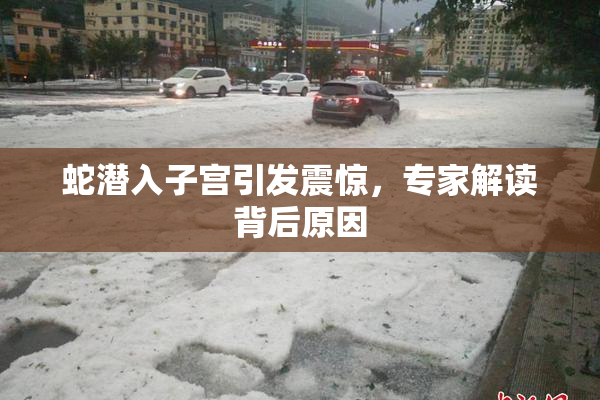 蛇潜入子宫引发震惊，专家解读背后原因