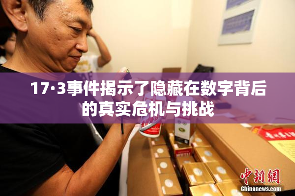 17·3事件揭示了隐藏在数字背后的真实危机与挑战