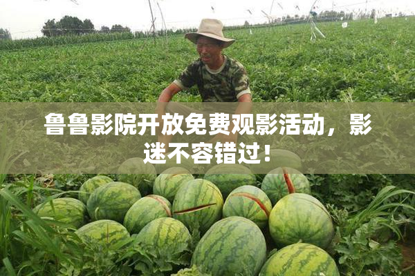 鲁鲁影院开放免费观影活动，影迷不容错过！