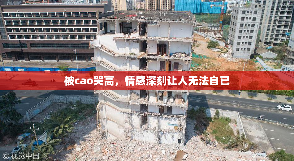 被cao哭高，情感深刻让人无法自已