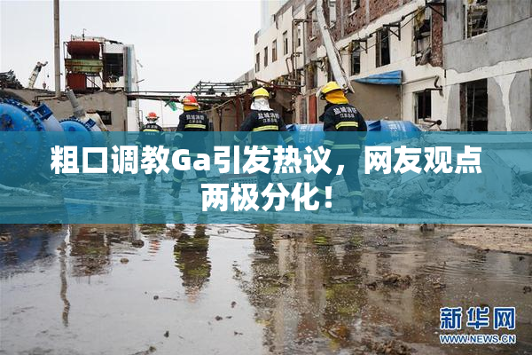粗口调教Ga引发热议，网友观点两极分化！