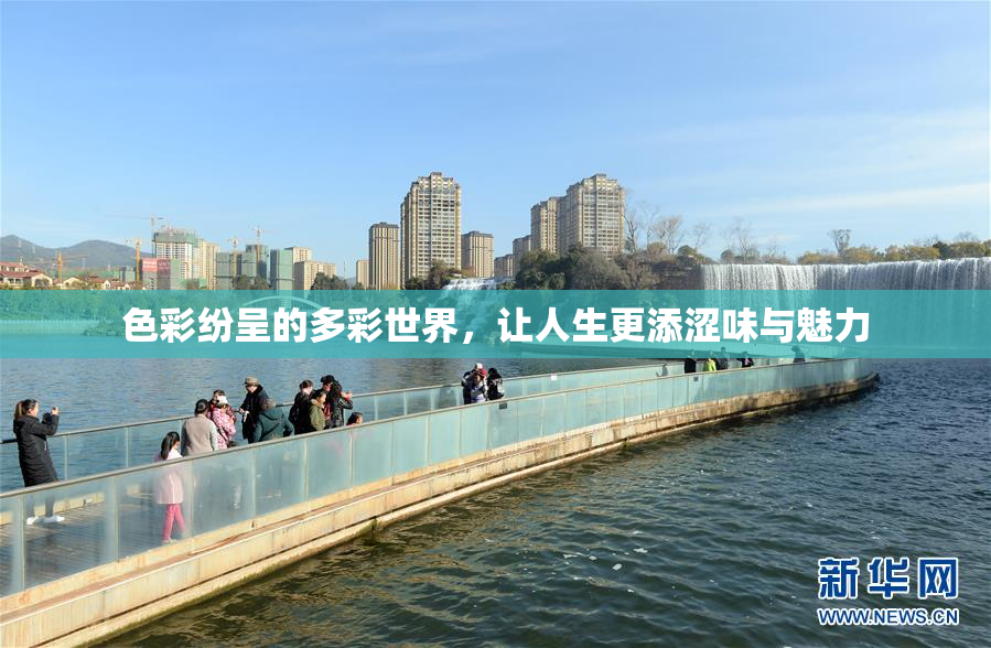 色彩纷呈的多彩世界，让人生更添涩味与魅力