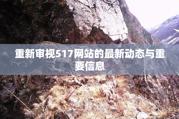 重新审视517网站的最新动态与重要信息