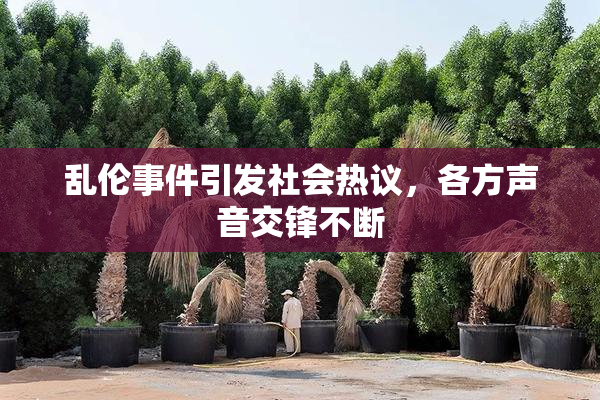 乱伦事件引发社会热议，各方声音交锋不断