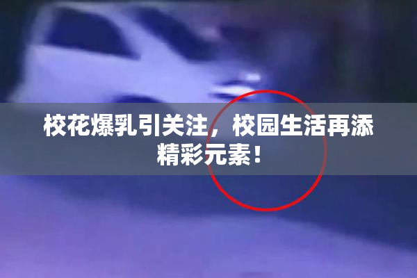 校花爆乳引关注，校园生活再添精彩元素！