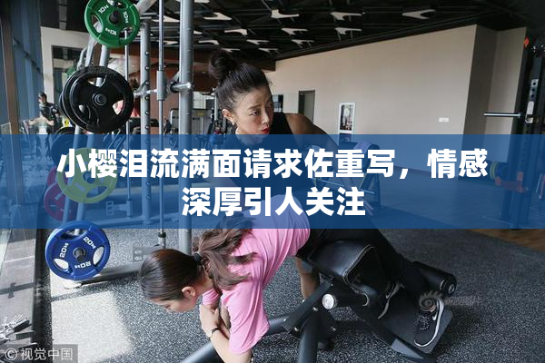 小樱泪流满面请求佐重写，情感深厚引人关注