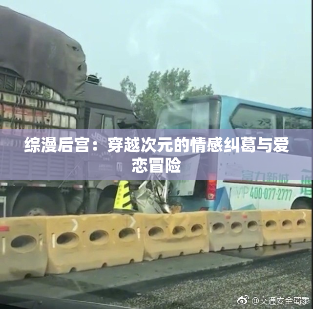 综漫后宫：穿越次元的情感纠葛与爱恋冒险