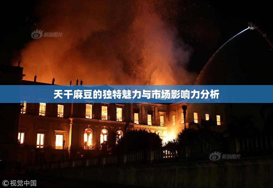 天干麻豆的独特魅力与市场影响力分析