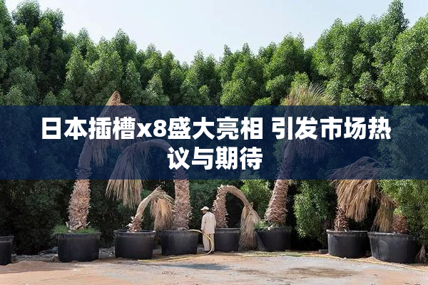 日本插槽x8盛大亮相 引发市场热议与期待