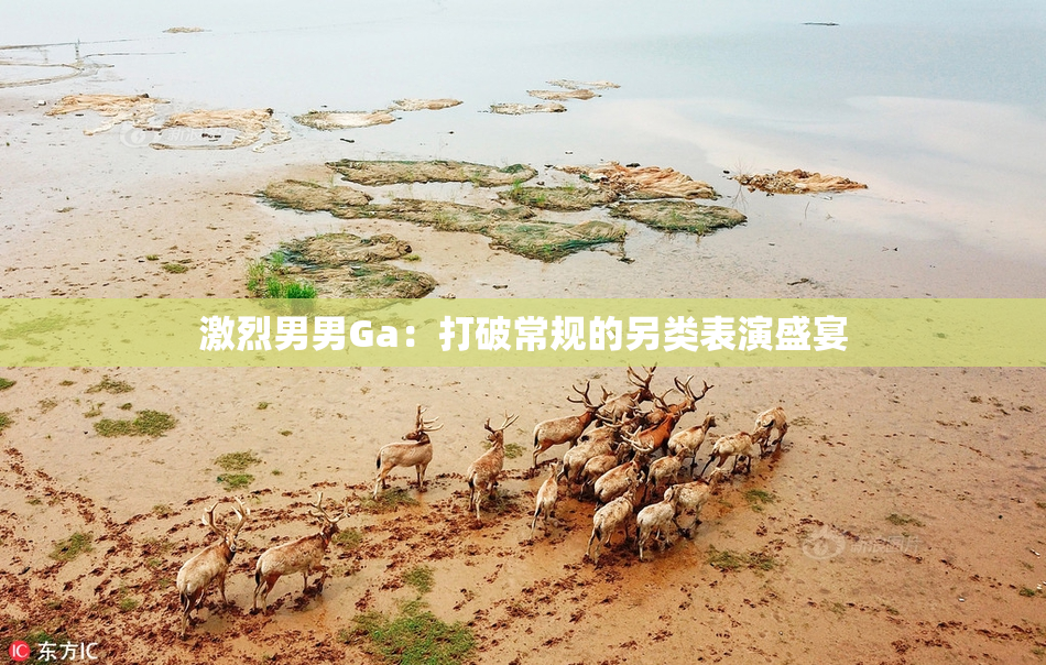 激烈男男Ga：打破常规的另类表演盛宴