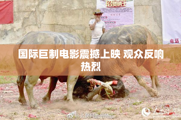 国际巨制电影震撼上映 观众反响热烈