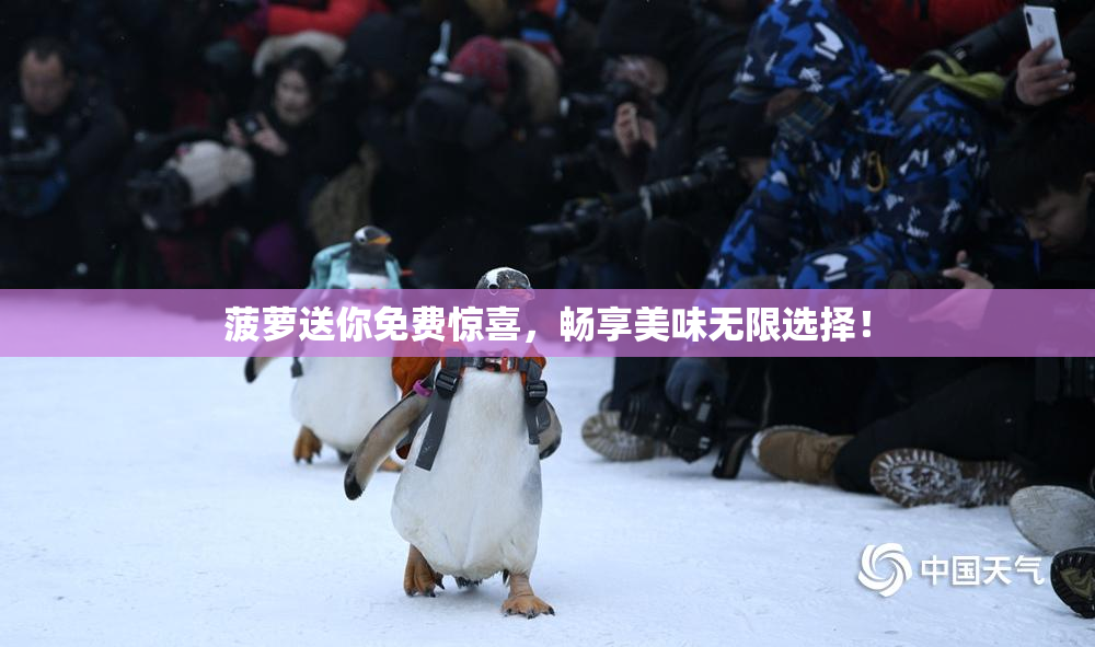 菠萝送你免费惊喜，畅享美味无限选择！
