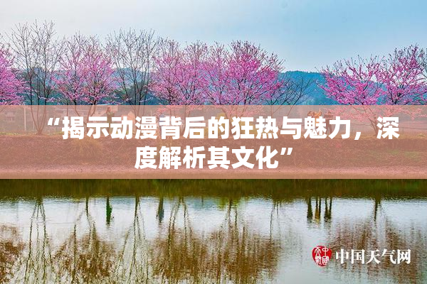 “揭示动漫背后的狂热与魅力，深度解析其文化”