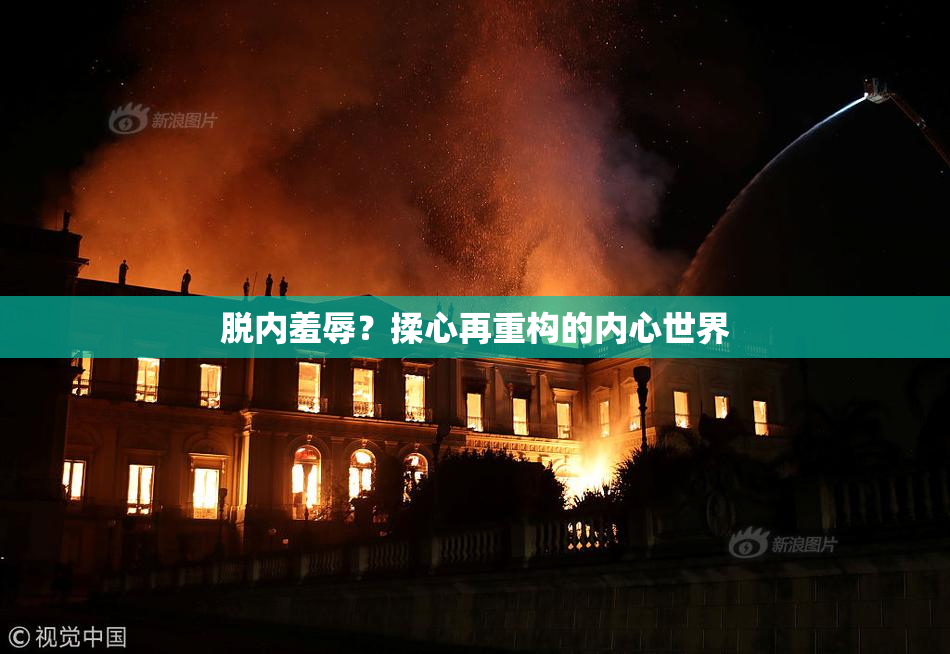 脱内羞辱？揉心再重构的内心世界