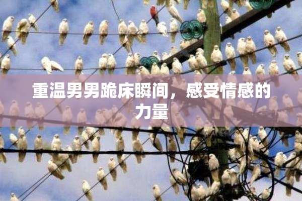 重温男男跪床瞬间，感受情感的力量
