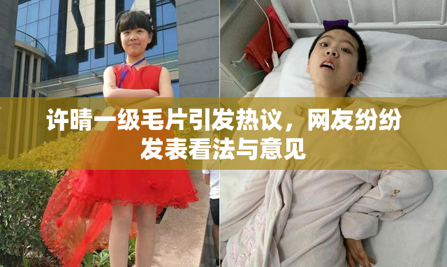 许晴一级毛片引发热议，网友纷纷发表看法与意见