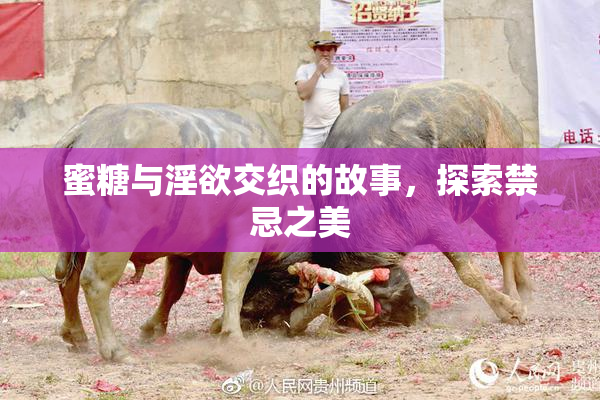 蜜糖与淫欲交织的故事，探索禁忌之美