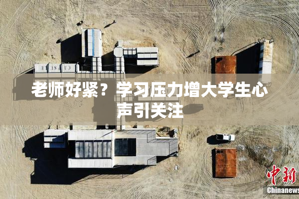 老师好紧？学习压力增大学生心声引关注