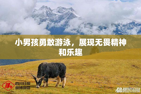 小男孩勇敢游泳，展现无畏精神和乐趣