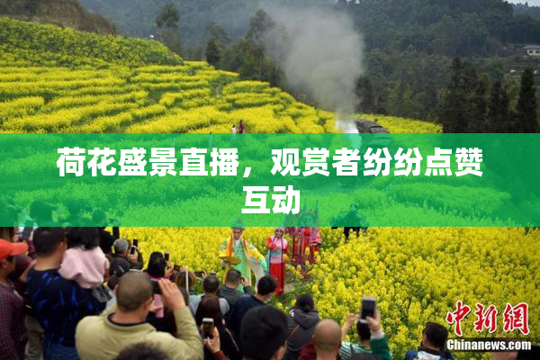 荷花盛景直播，观赏者纷纷点赞互动