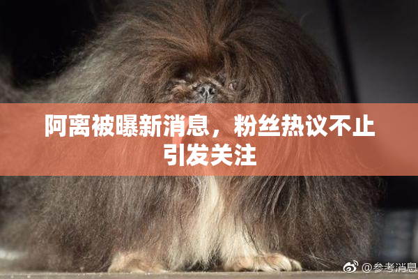 阿离被曝新消息，粉丝热议不止引发关注