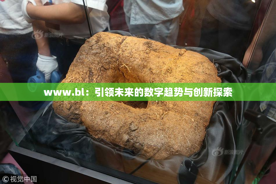 www.bl：引领未来的数字趋势与创新探索