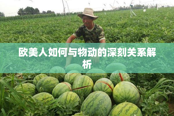 欧美人如何与物动的深刻关系解析