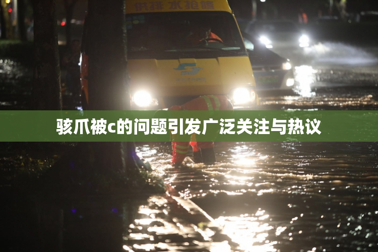 骇爪被c的问题引发广泛关注与热议