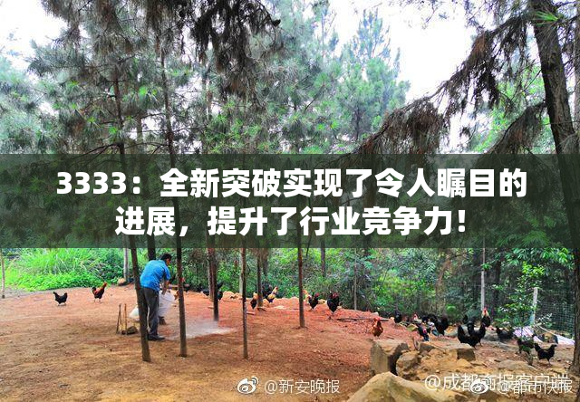 3333：全新突破实现了令人瞩目的进展，提升了行业竞争力！