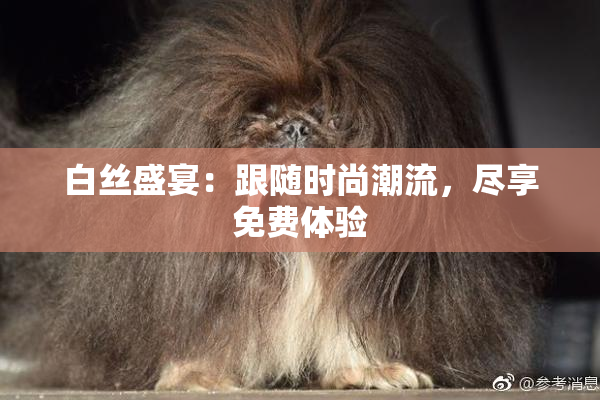 白丝盛宴：跟随时尚潮流，尽享免费体验