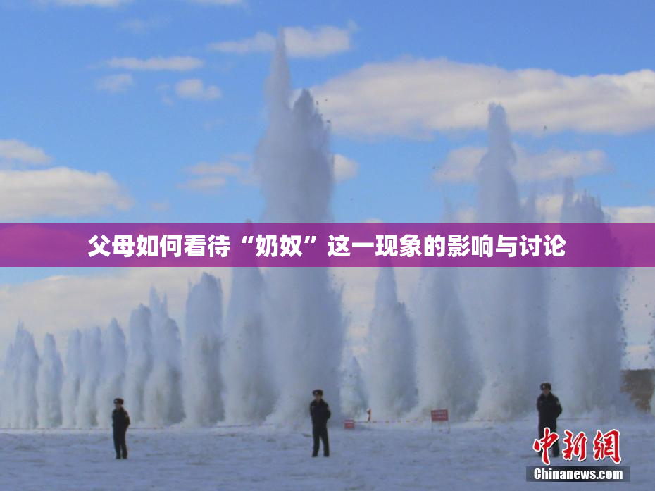 父母如何看待“奶奴”这一现象的影响与讨论
