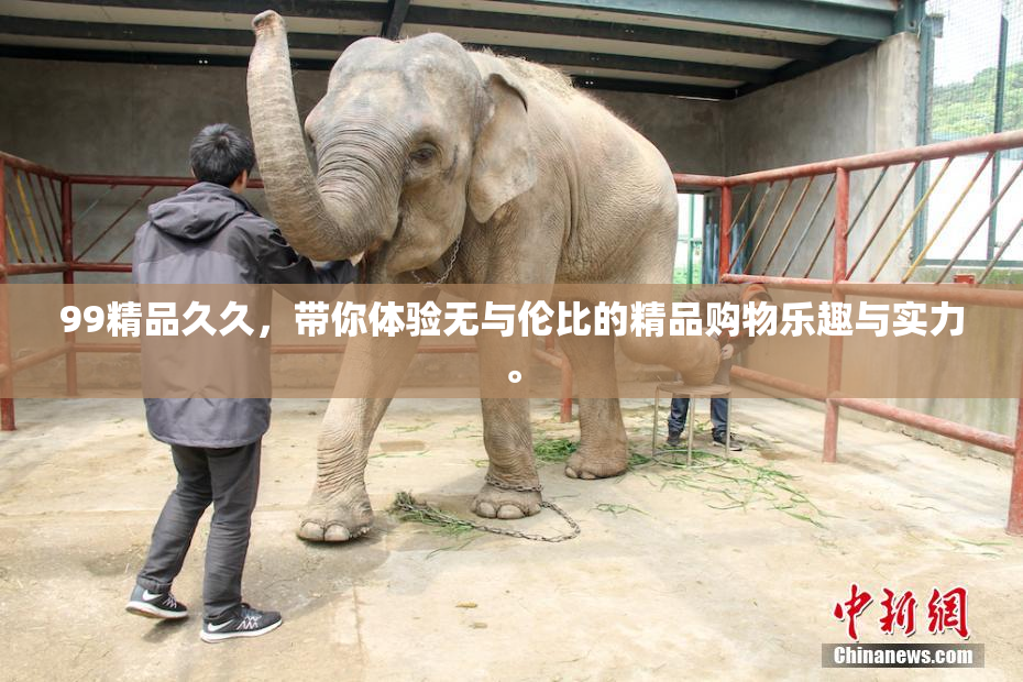 99精品久久，带你体验无与伦比的精品购物乐趣与实力。