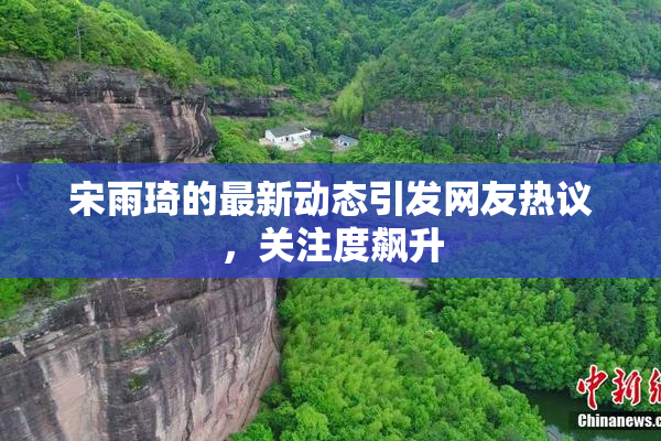 宋雨琦的最新动态引发网友热议，关注度飙升