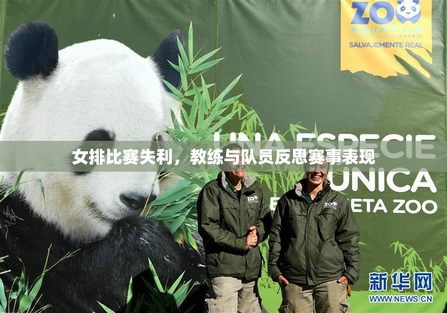 女排比赛失利，教练与队员反思赛事表现