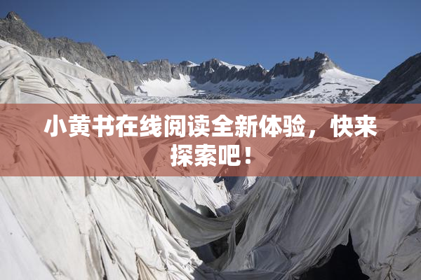 小黄书在线阅读全新体验，快来探索吧！