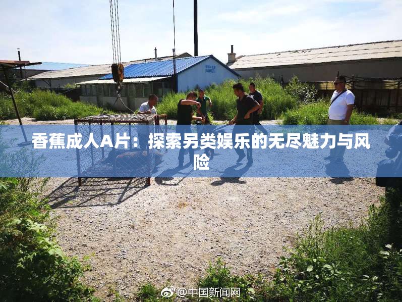 香蕉成人A片：探索另类娱乐的无尽魅力与风险