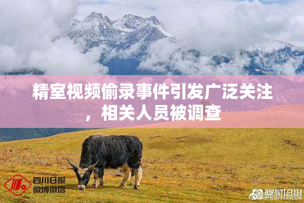 精室视频偷录事件引发广泛关注，相关人员被调查