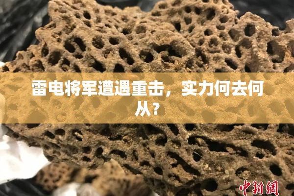 雷电将军遭遇重击，实力何去何从？