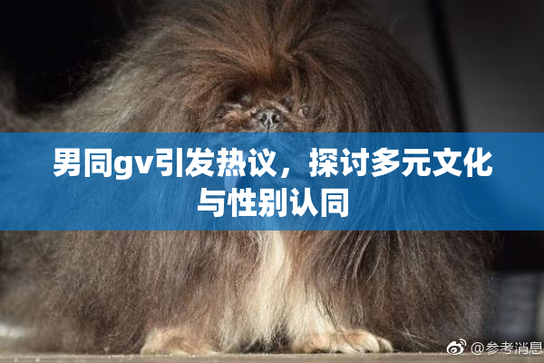 男同gv引发热议，探讨多元文化与性别认同