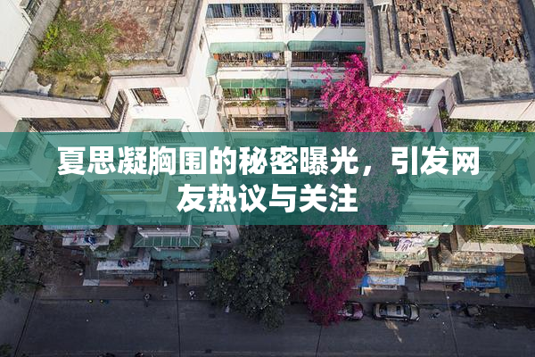 夏思凝胸围的秘密曝光，引发网友热议与关注
