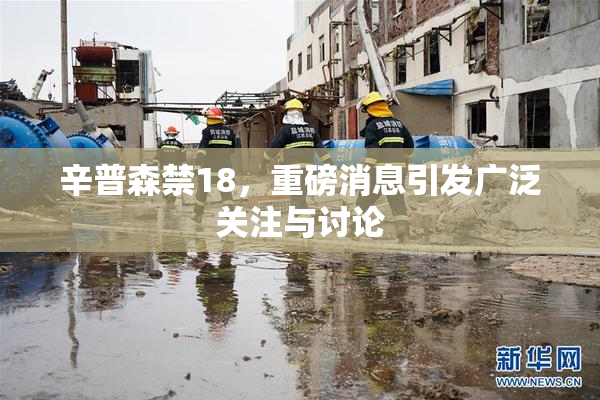辛普森禁18，重磅消息引发广泛关注与讨论