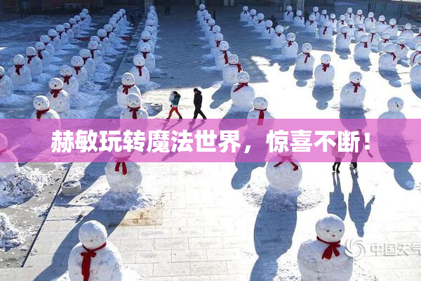 赫敏玩转魔法世界，惊喜不断！