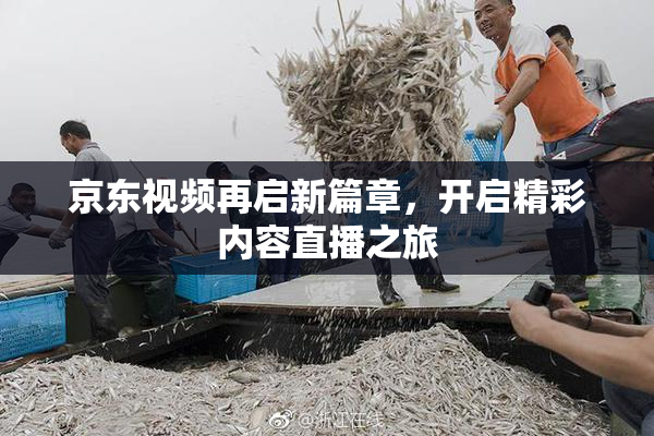 京东视频再启新篇章，开启精彩内容直播之旅
