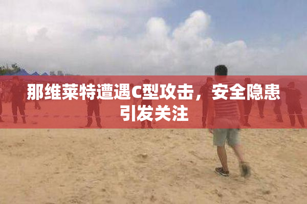 那维莱特遭遇C型攻击，安全隐患引发关注