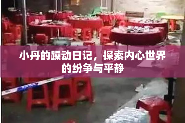 小丹的躁动日记，探索内心世界的纷争与平静