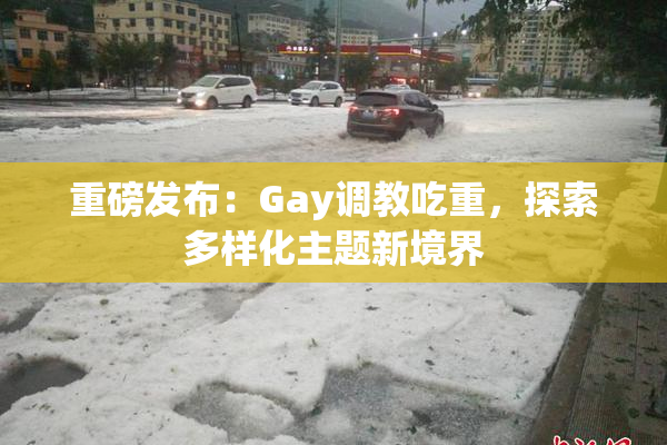 重磅发布：Gay调教吃重，探索多样化主题新境界