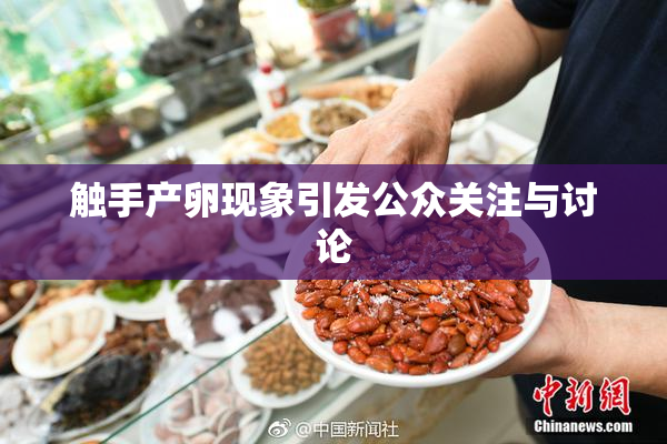 触手产卵现象引发公众关注与讨论