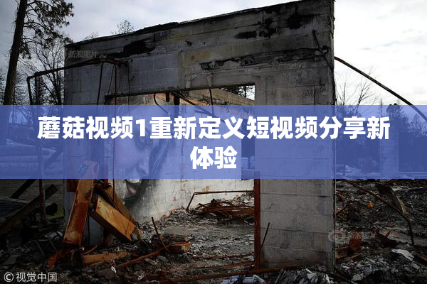 蘑菇视频1重新定义短视频分享新体验