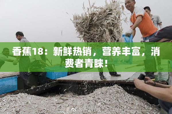 香蕉18：新鲜热销，营养丰富，消费者青睐！