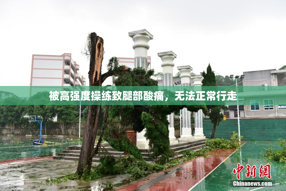 被高强度操练致腿部酸痛，无法正常行走